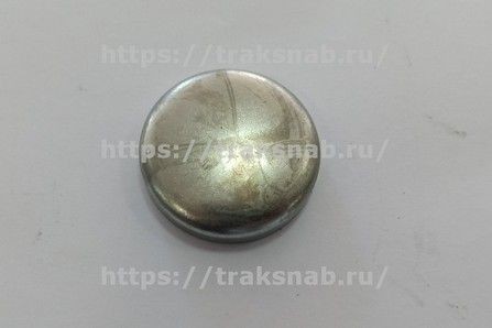 Заглушка головки блока Д-260 — 1