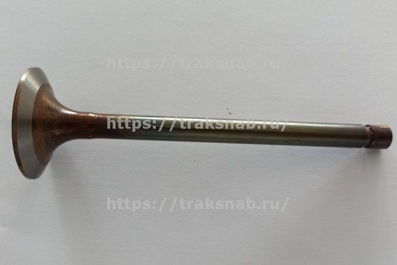 Клапан впускной (большой)  Д-260 оригинал — 1