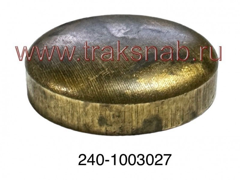 Заглушка головки блока 21г (латунь) — 3